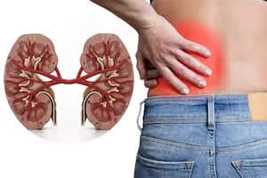 Kidney Issues https://mlkbnllevxvt.i.optimole.com/cb:ymBr.2164c/w:300/h:200/q:mauto/f:best/https://health-connect.co.in/wp-content/uploads/2024/05/Kidney-Issues.jpg